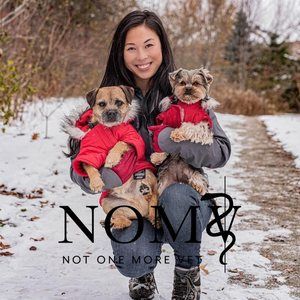 Meet your Posher, Chung yeen